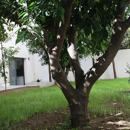 Residencia Mayol - только для взрослых